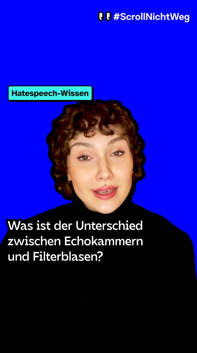 Video: Echokammer versus Filterblase