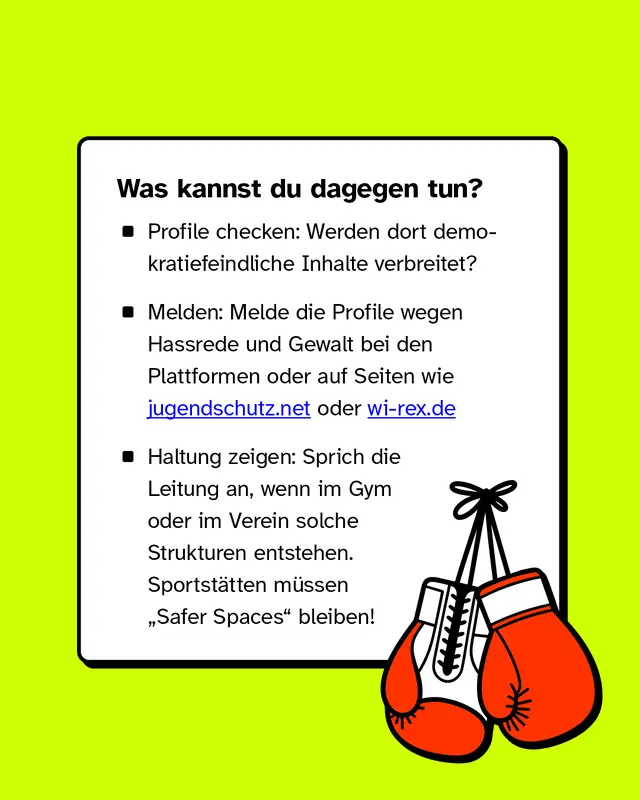 Textkarte mit Handlungsm&ouml;glichkeiten gegen rechtsextreme Inhalte: Profile pr&uuml;fen, Hassrede melden und Haltung zeigen. Unten rechts Illustration von Boxhandschuhen.