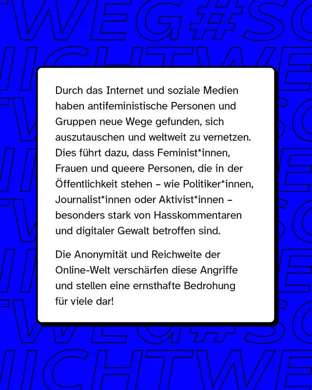 Durch das Internet und soziale Medien haben antifeministische Personen und Gruppen neue Wege gefunden, sich auszutauschen und weltweit zu vernetzen. Dies führt dazu, dass Feminist*innen, Frauen und queere Personen, die in der Öffentlichkeit stehen – wie Politiker*innen, Journalist*innen oder Aktivist*innen – besonders stark von Hasskommentaren und digitaler Gewalt betroffen sind.   Die Anonymität und Reichweite der Online-Welt verschärfen diese Angriffe und stellen eine ernsthafte Bedrohung für viele dar!