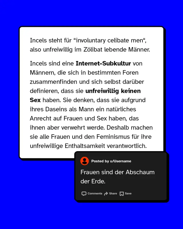 Incels steht f&uuml;r "involuntary celibate men", also unfreiwillig im Z&ouml;libat lebende M&auml;nner. Sie sind eine Internet-Subkultur von M&auml;nnern, die sich in bestimmten Foren zusammenfinden und sich selbst dar&uuml;ber definieren, dass sie unfreiwillig keinen Sex haben.