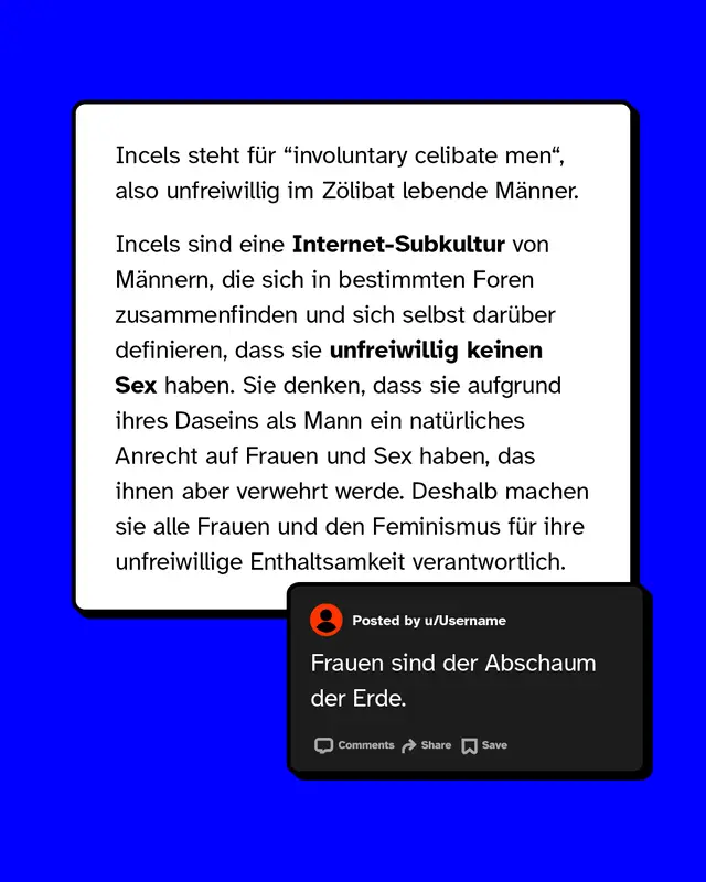Incels steht f&uuml;r "involuntary celibate men", also unfreiwillig im Z&ouml;libat lebende M&auml;nner. Sie sind eine Internet-Subkultur von M&auml;nnern, die sich in bestimmten Foren zusammenfinden und sich selbst dar&uuml;ber definieren, dass sie unfreiwillig keinen Sex haben.