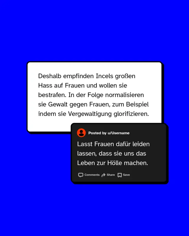 Deshalb empfinden Incels gro&szlig;en Hass auf Frauen und wollen sie bestrafen. In der Folge normalisieren sie Gewalt gegen Frauen, zum Beispiel indem sie Vergewaltigung glorifizieren.