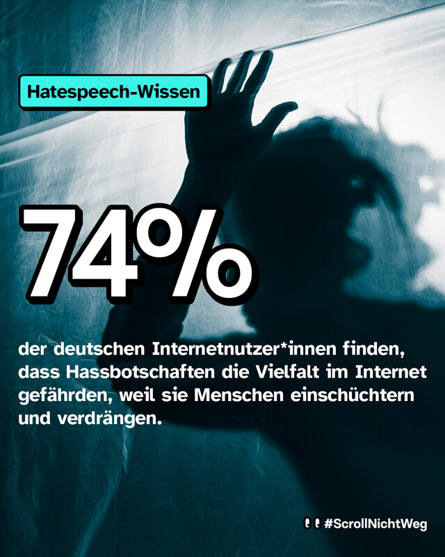 74% der deutschen Internetnutzenden finden, dass Hassbotschaften die Vielfalt im Internet gefährden, weil sie Menschen einschüchtern und verdrängen.