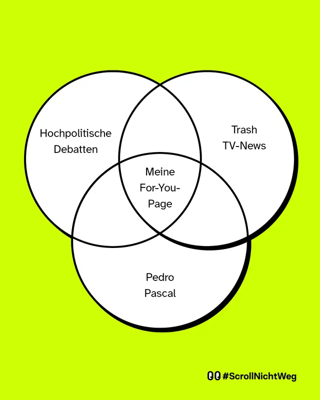 Zu sehen ist ein VENN-Diagramm mit 3 wei&szlig;en Kreisen. Linker Kreis: &bdquo;Hochpolitische Debatten&ldquo;.  Rechter Kreis: &bdquo;Trash TV-News&ldquo;.  Unterer Kreis: &bdquo;Pedro Pascal&ldquo;. In der Schnittmenge steht: &bdquo;Meine For-You-Page&ldquo;.