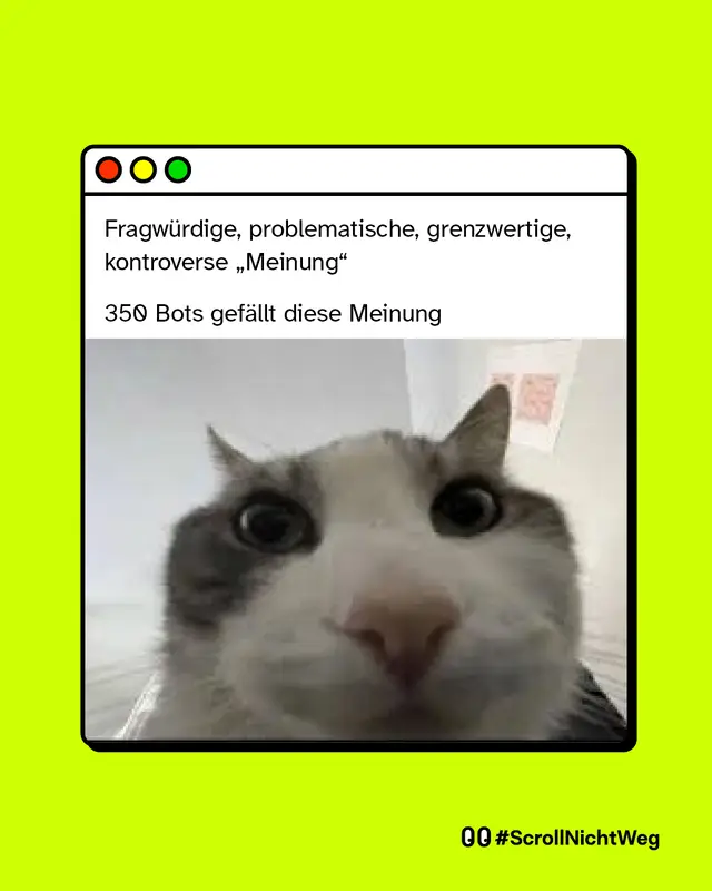 Ein Fenster zeigt den Text: &bdquo;Fragw&uuml;rdige, problematische, grenzwertige, kontroverse &sbquo;Meinung&lsquo;. 350 Bots gef&auml;llt diese Meinung&ldquo;. Darunter ein Foto einer Katze, die von sehr nah und von unten in die Kamera schaut.