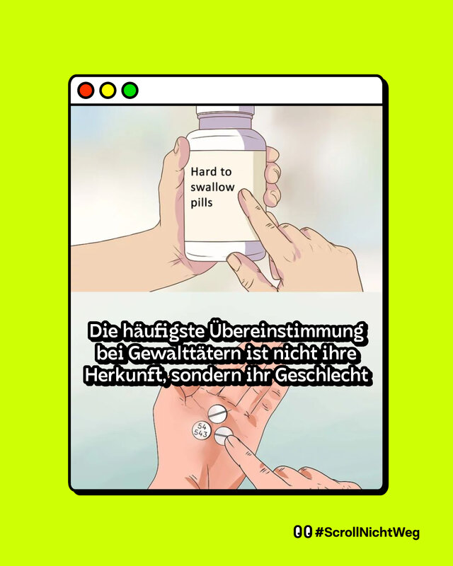 Illustration eines Memes im Stil ‚Hard to swallow pills‘: Oben hält eine Hand eine Pillendose mit der Aufschrift ‚Hard to swallow pills‘. Unten werden zwei Tabletten gezeigt, dazu der Text auf Deutsch: "Die häufigste Übereinstimmung bei Gewalttätern ist nicht ihre Herkunft, sondern ihr Geschlecht."