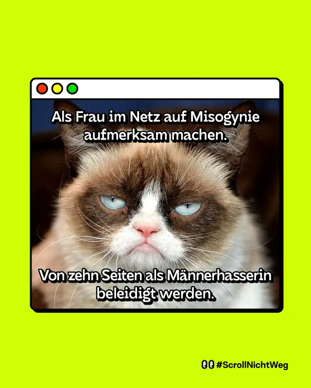 Meme mit einer m&uuml;rrisch dreinblickenden Katze. Text oben: Als Frau im Netz auf Misogynie aufmerksam machen. Text unten: Von zehn Seiten als M&auml;nnerhasserin beleidigt werden.