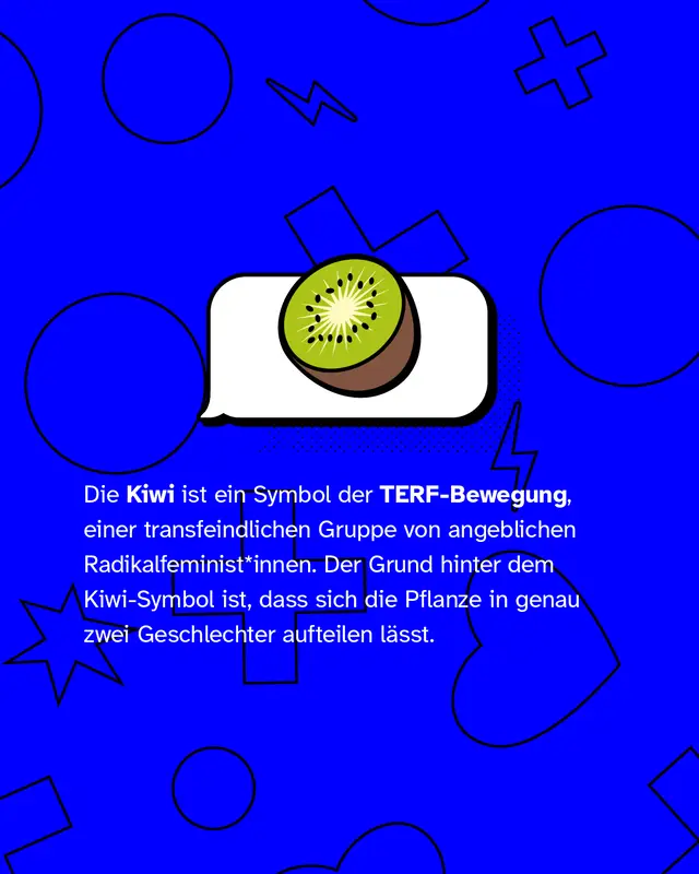Darstellung einer Kiwi und Text: &bdquo;Die Kiwi ist ein Symbol der TERF-Bewegung, einer transfeindlichen Gruppe von angeblichen Radikalfeminist*innen. Der Grund: Die Pflanze l&auml;sst sich in genau zwei Geschlechter aufteilen.&ldquo;