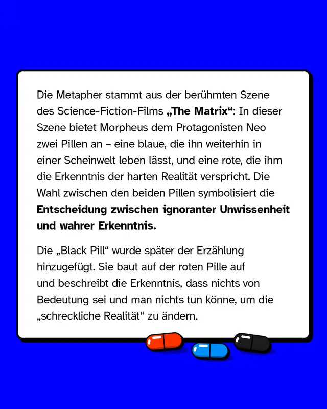 Die Metapher stammt aus der ber&uuml;hmten Szene des Films "The Matrix".