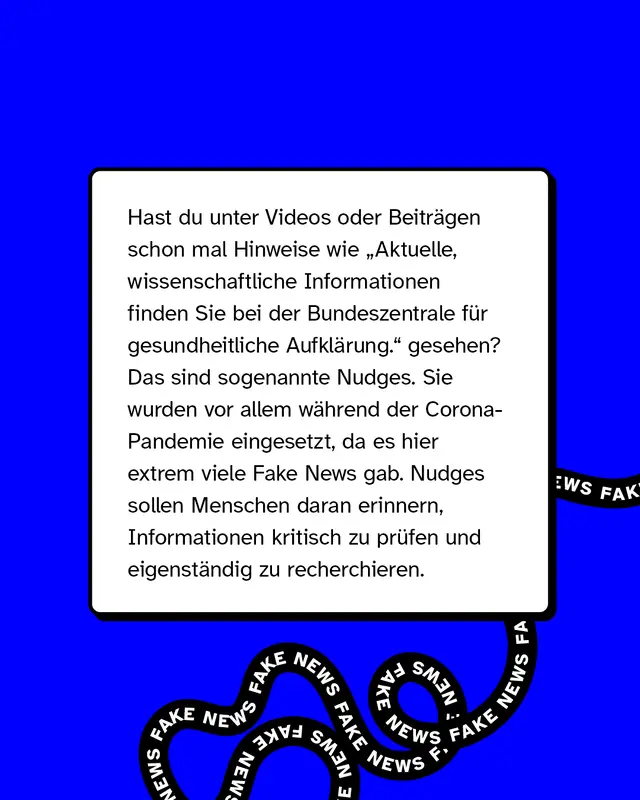 Textkasten erklärt sogenannte "Nudges": Hinweise unter Social-Media-Posts zu offiziellen und wissenschaftlichen Quellen, die Menschen motivieren sollen, Informationen selbst zu prüfen. Beispielverweis auf Hinweise während der Corona-Pandemie. Schwarze "FAKE NEWS"-Schriftzüge ziehen sich im Hintergrund entlang.